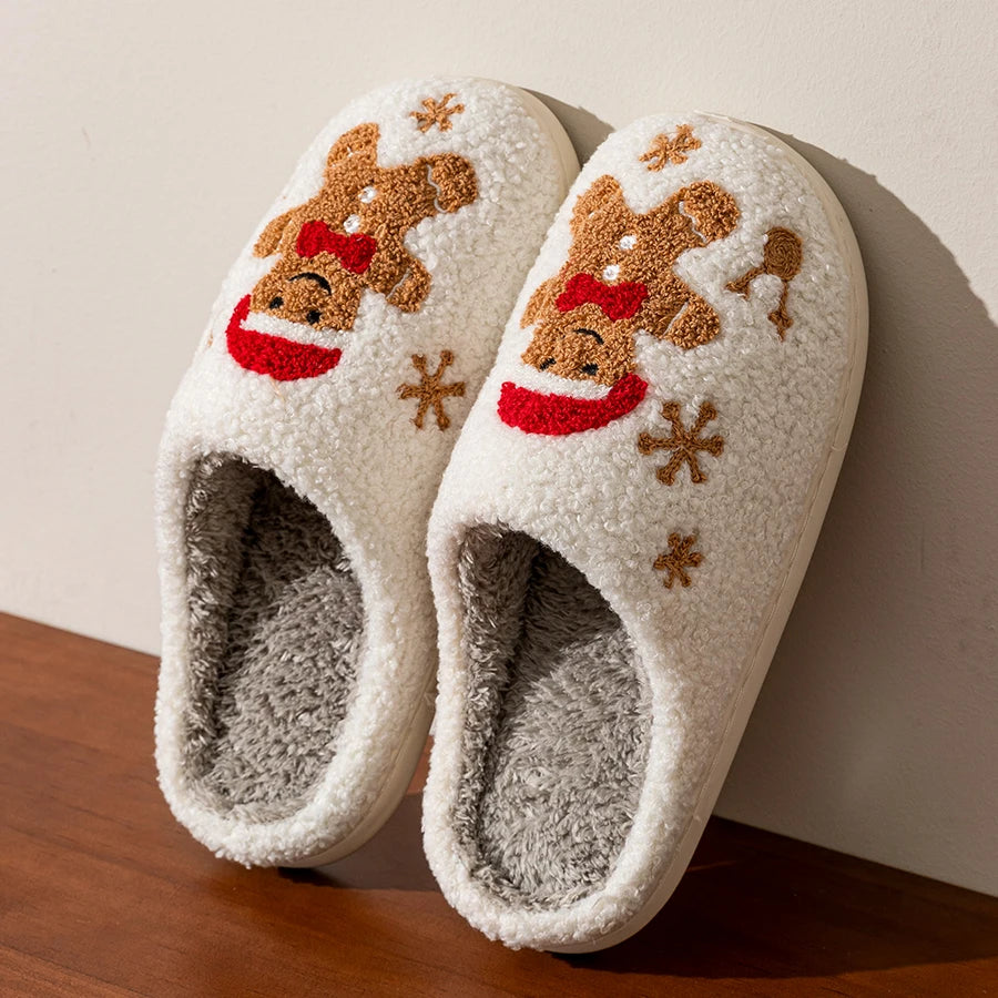 Winter Slippers