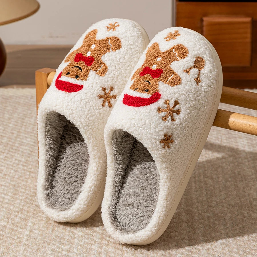 Winter Slippers
