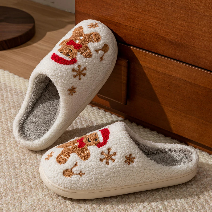 Winter Slippers