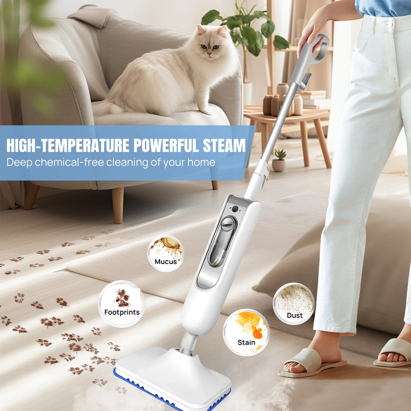Steam Mop & Detachable Cleaner