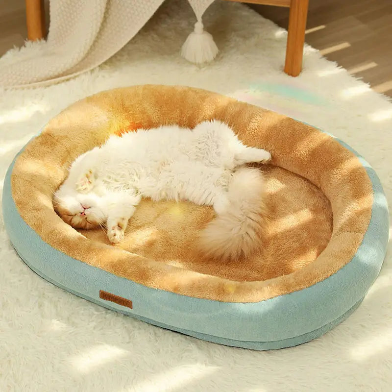 Bed For Cats And Dogs