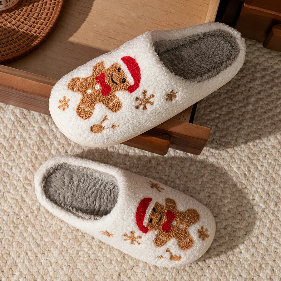Winter Slippers