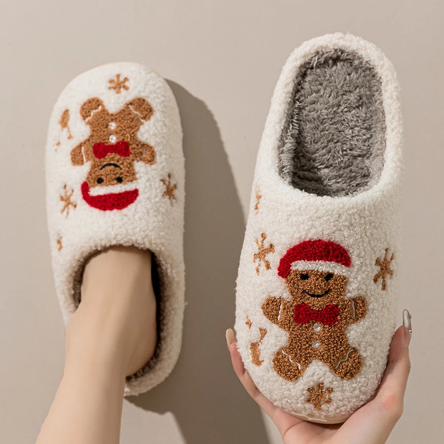Winter Slippers