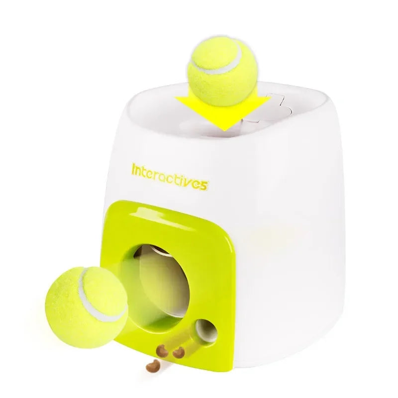 Interactive Dog Training Reward Machine