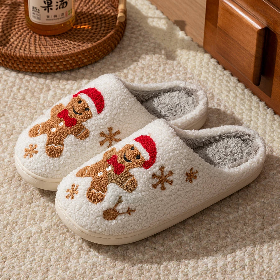 Winter Slippers